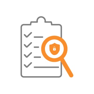 Security Assessment RMF/NIST 800-53) icon
